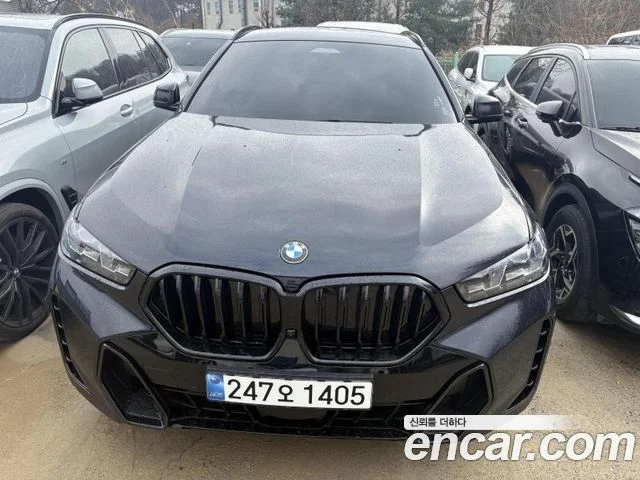 2025 BMW X6 (G06)