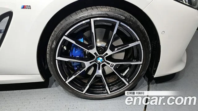 2021 BMW 8 Series (G15)