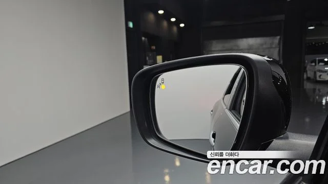 2020 Renault Korea QM6 (New)