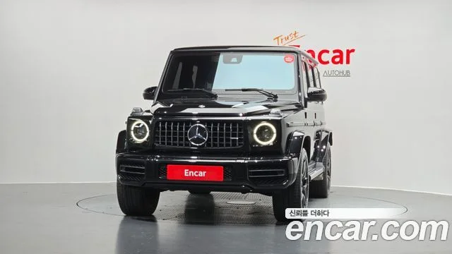 2019 Mercedes-Benz G-클래스 W463b