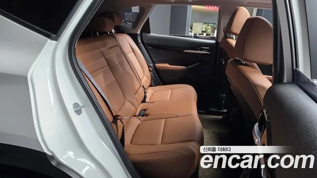 2024 Kia Seltos (New)