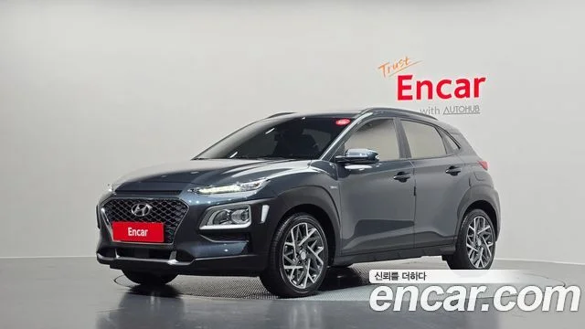 2019 Hyundai 코나 하이브리드