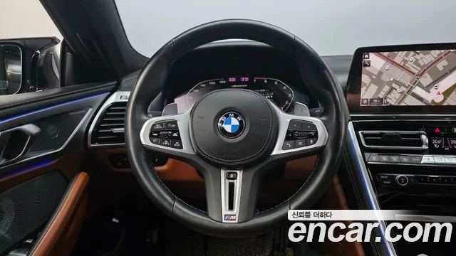 2023 BMW 8 Series (G15)