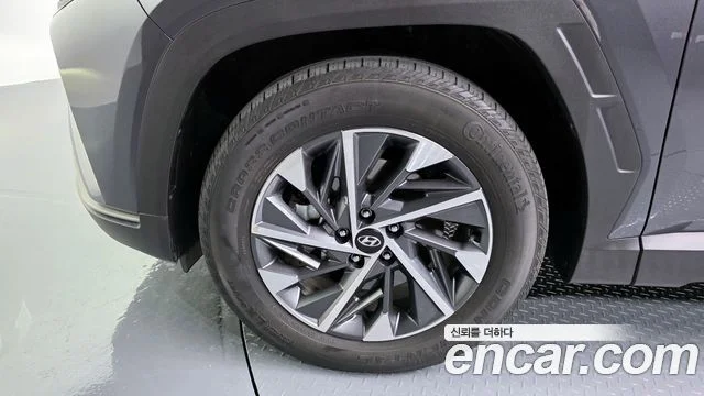 2021 Hyundai Tucson Hybrid (NX4)