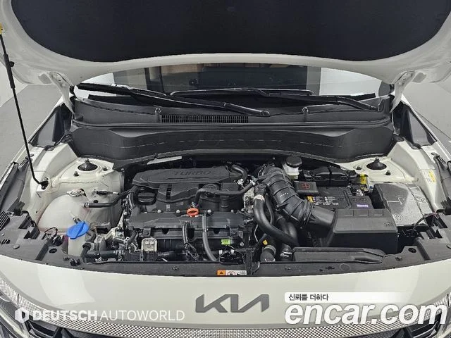 2025 Kia Seltos (New)