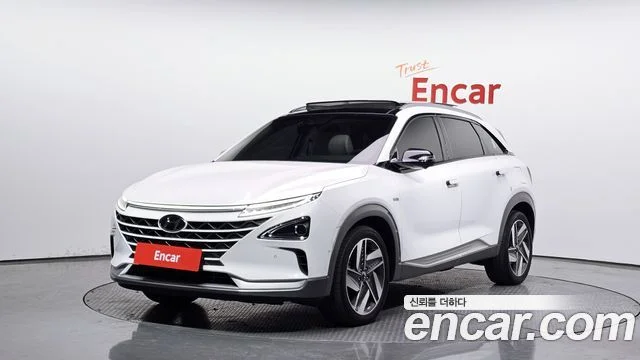 2019 Hyundai 넥쏘