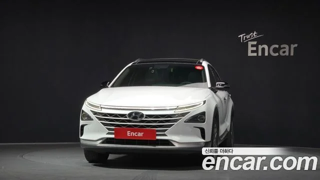 2020 Hyundai 넥쏘