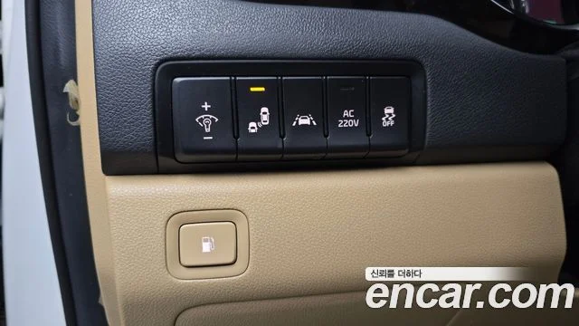 2020 Kia Carnival (New)