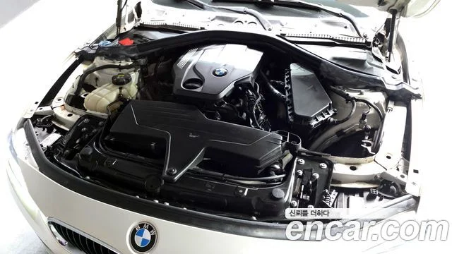 2017 BMW 3 Series (F30)