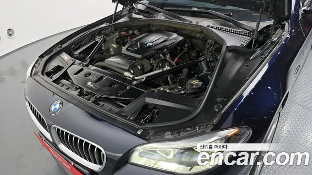 2016 BMW 5 Series (F10)