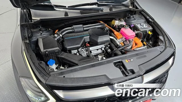 2024 Kia 스포티지 5세대 하이브리드