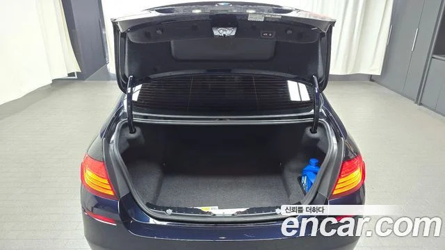 2015 BMW 5 Series (F10)