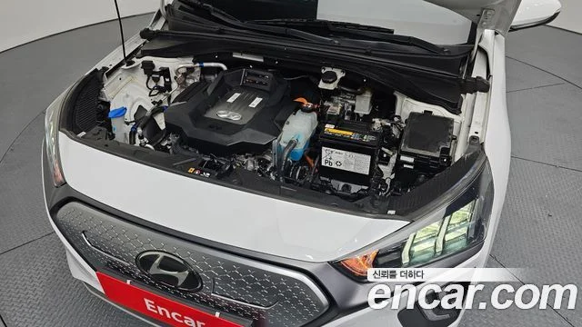 2020 Hyundai 더 뉴 아이오닉 일렉트릭