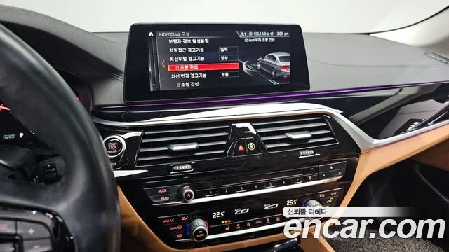 2019 BMW 5 Series (G30)