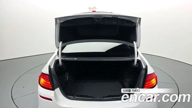 2015 BMW 5 Series (F10)