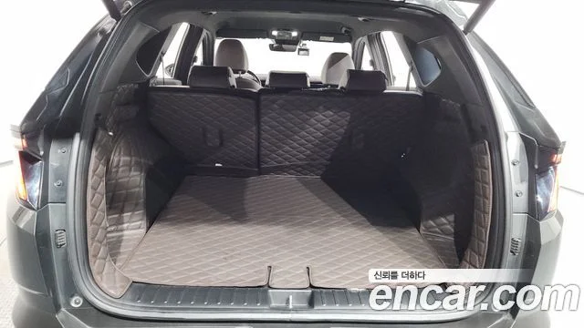 2021 Hyundai Tucson (NX4)