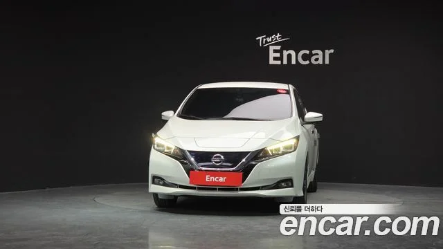2019 Nissan 리프 (ZE1)